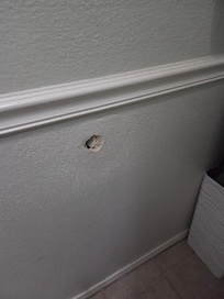 Hole in wall behind front door.