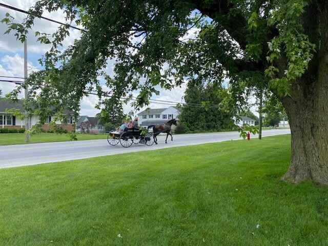 We loved sitting in the front yard watching the sweet families go by.