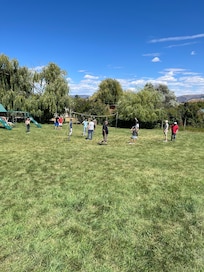 Family baseball