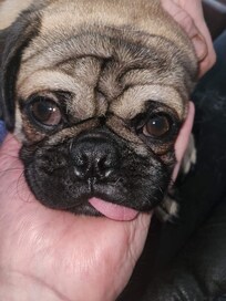 Poor Juno paying $40 a night to stay, and $20 a night to park our vehicle.