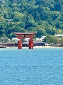 Tour to Miyajima island