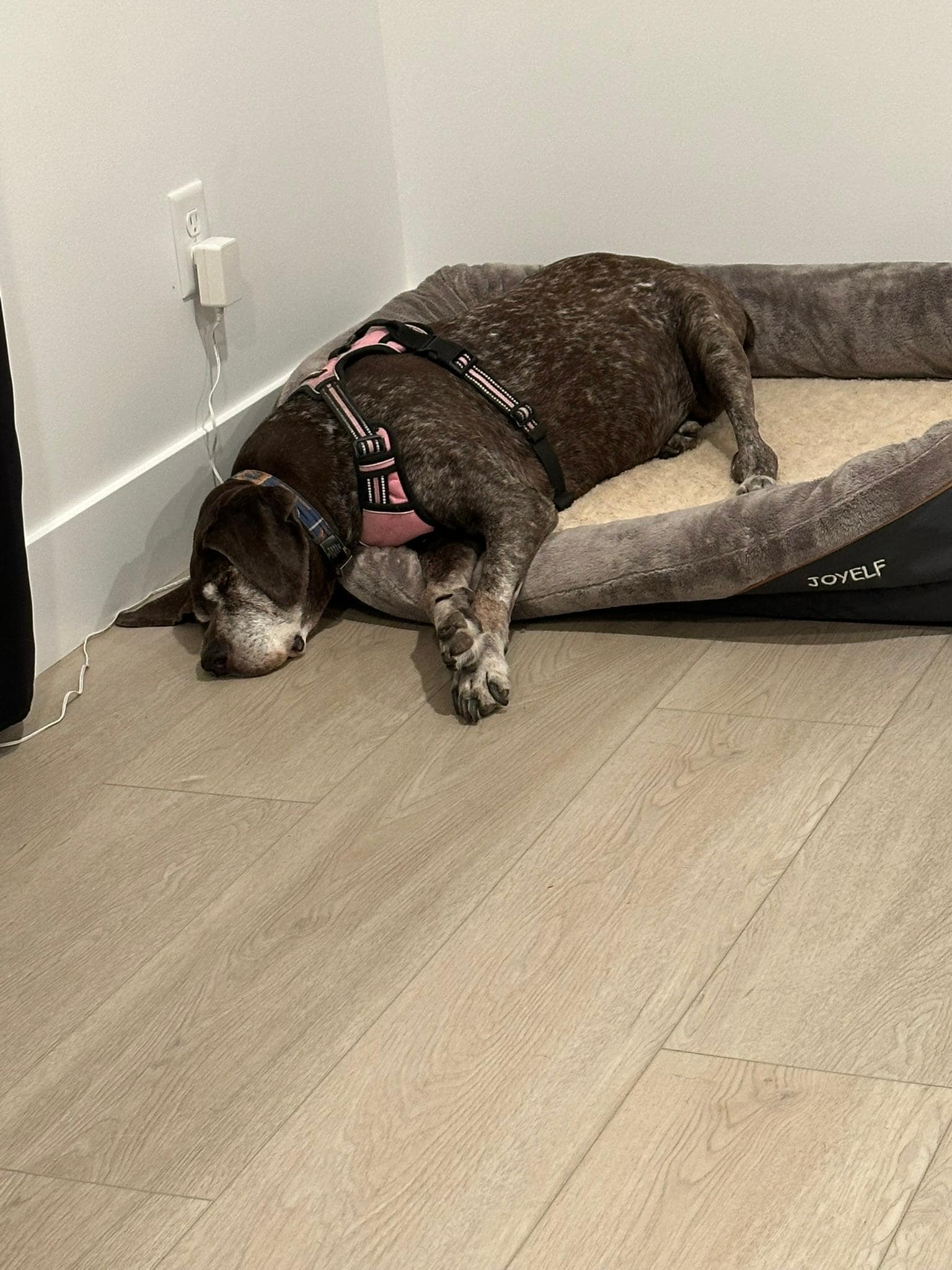 This is what I call vacation time!