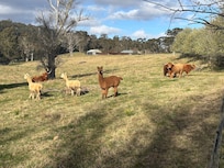 Nearby field