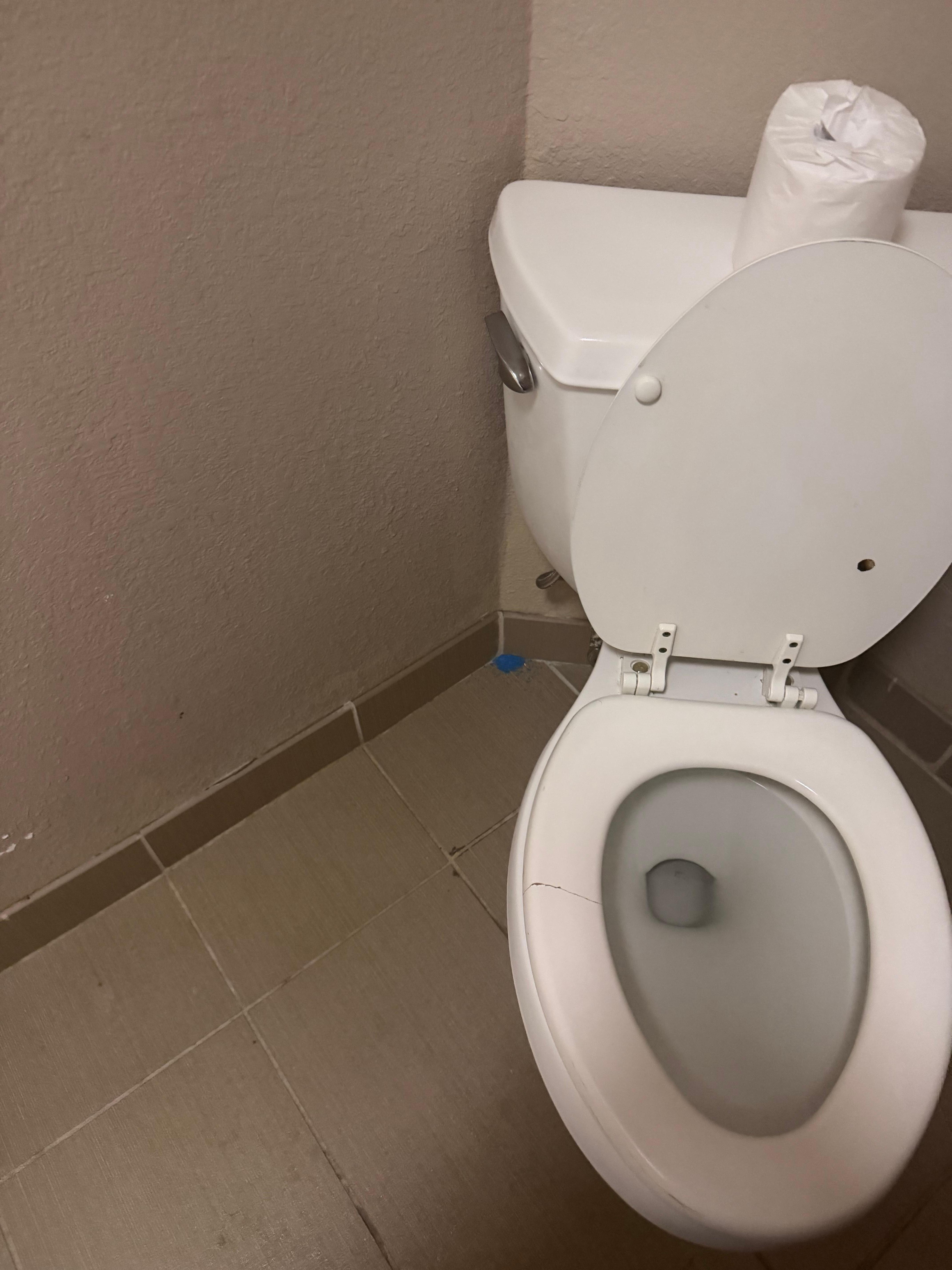 Broken dirty toliet and kitty litter on floor.