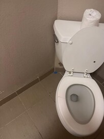 Broken dirty toliet and kitty litter on floor.