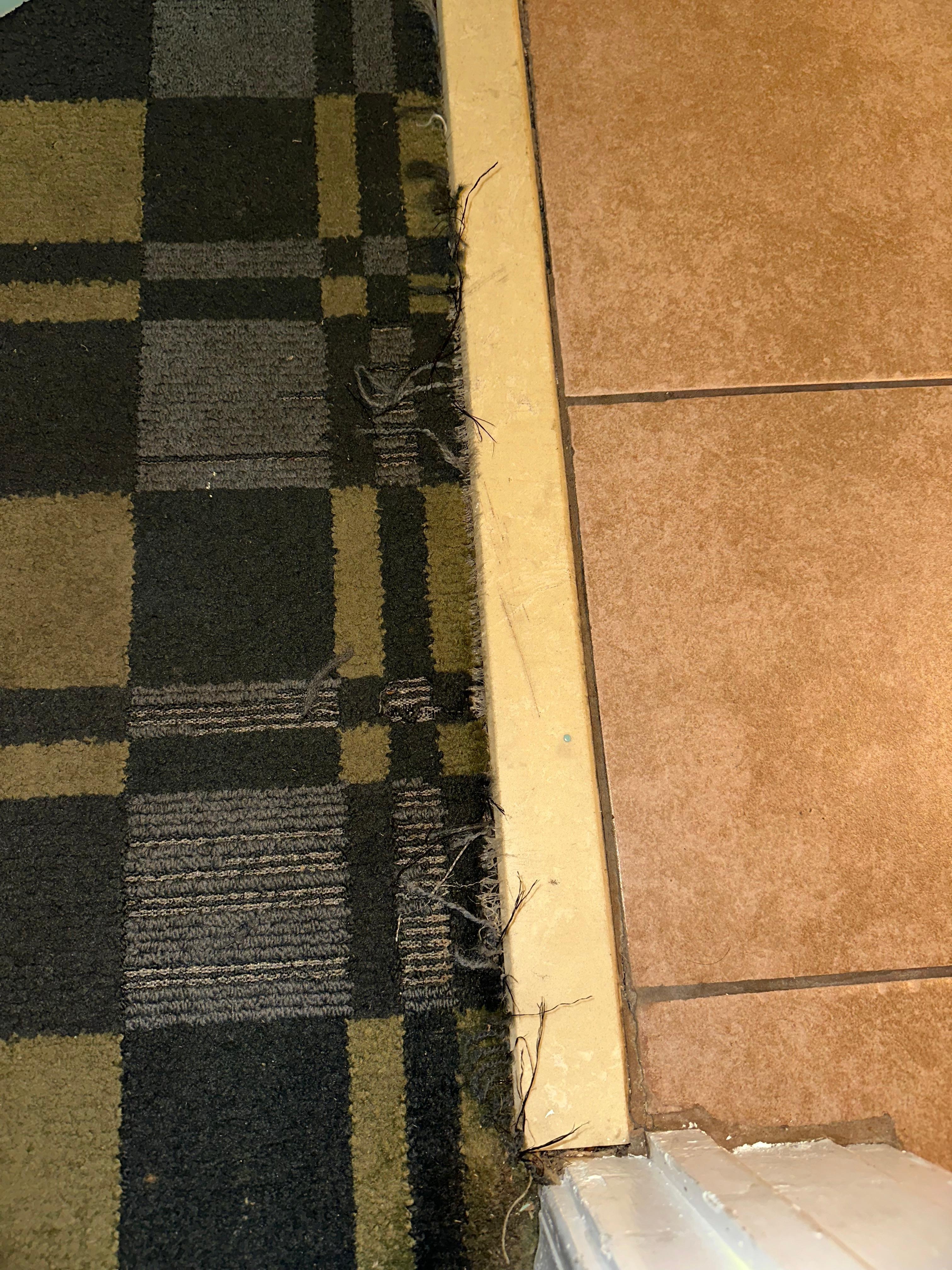 Frayed carpet preventing the bathroom door from closing. 