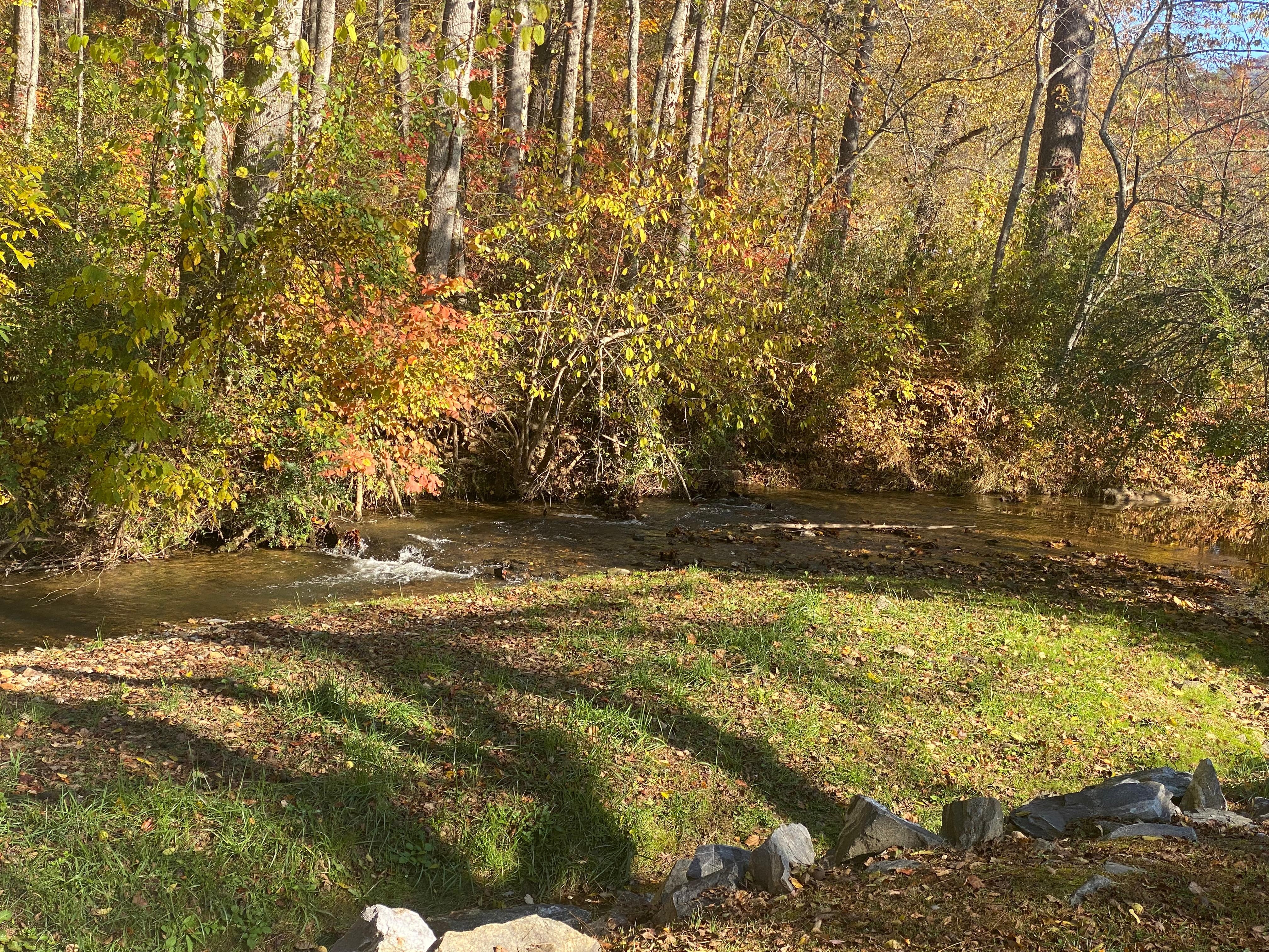 Butternut Creek off deck