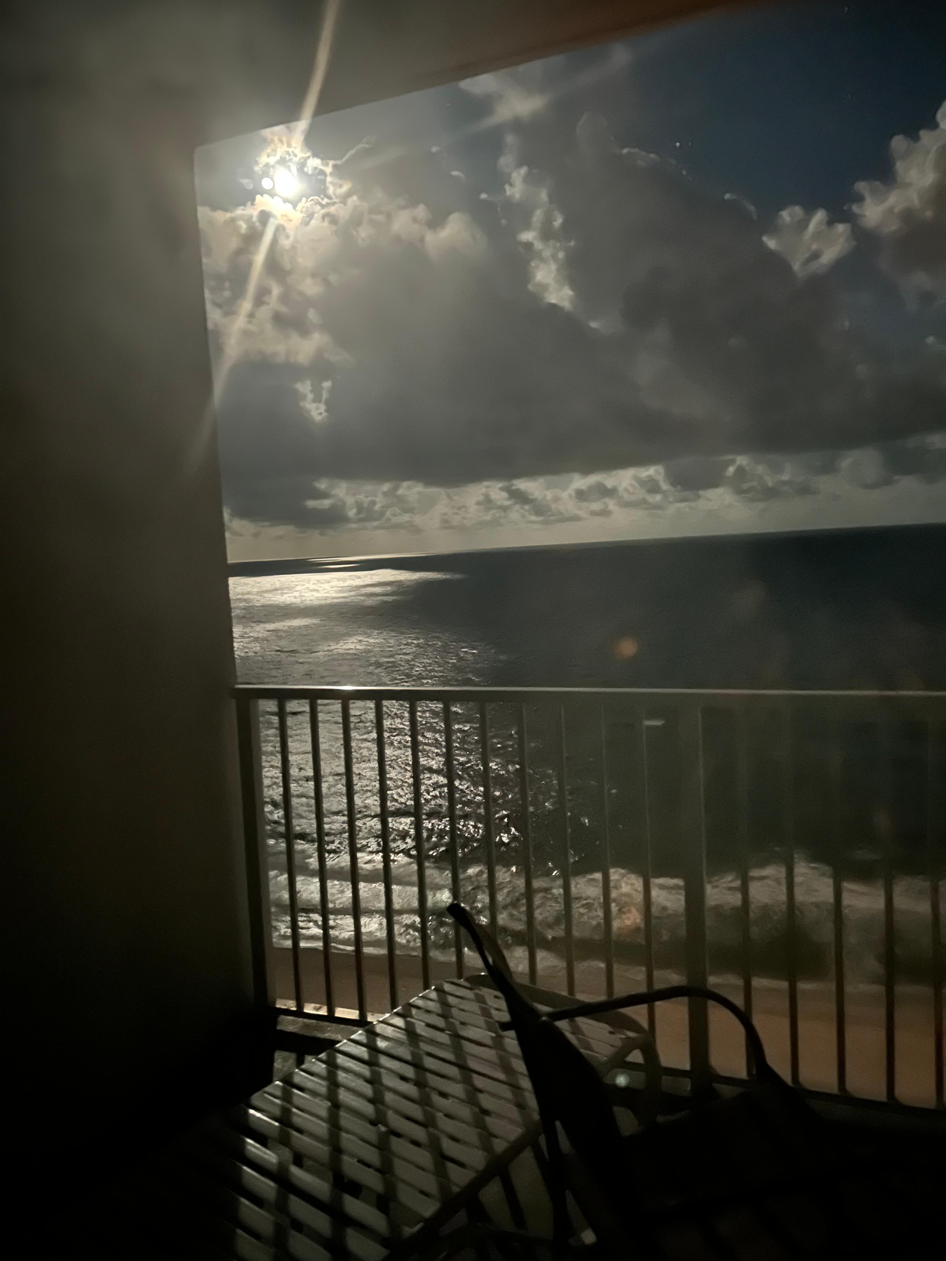 Evening view