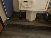 Dog food in the corner.