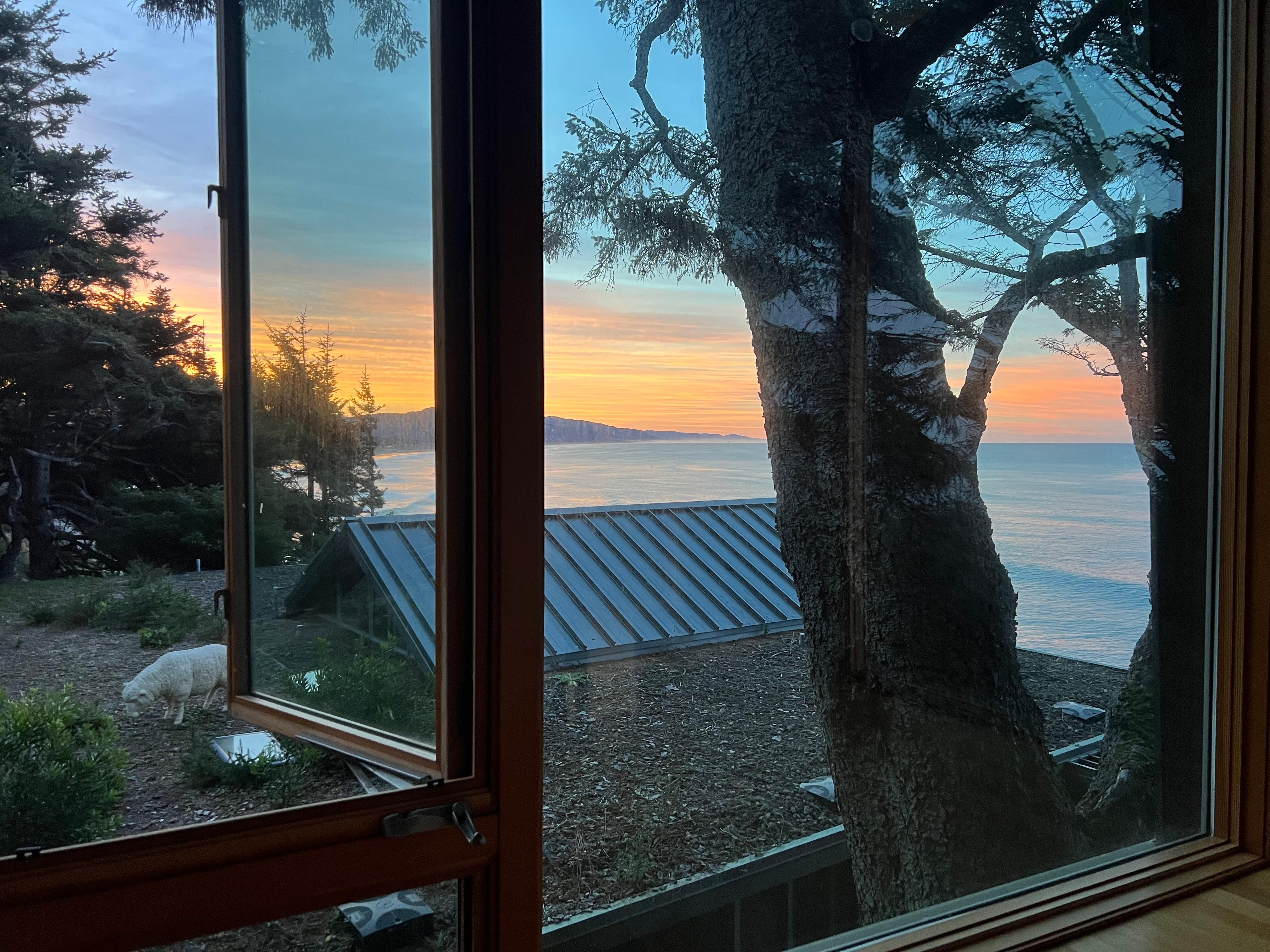 Sunrise from the nest