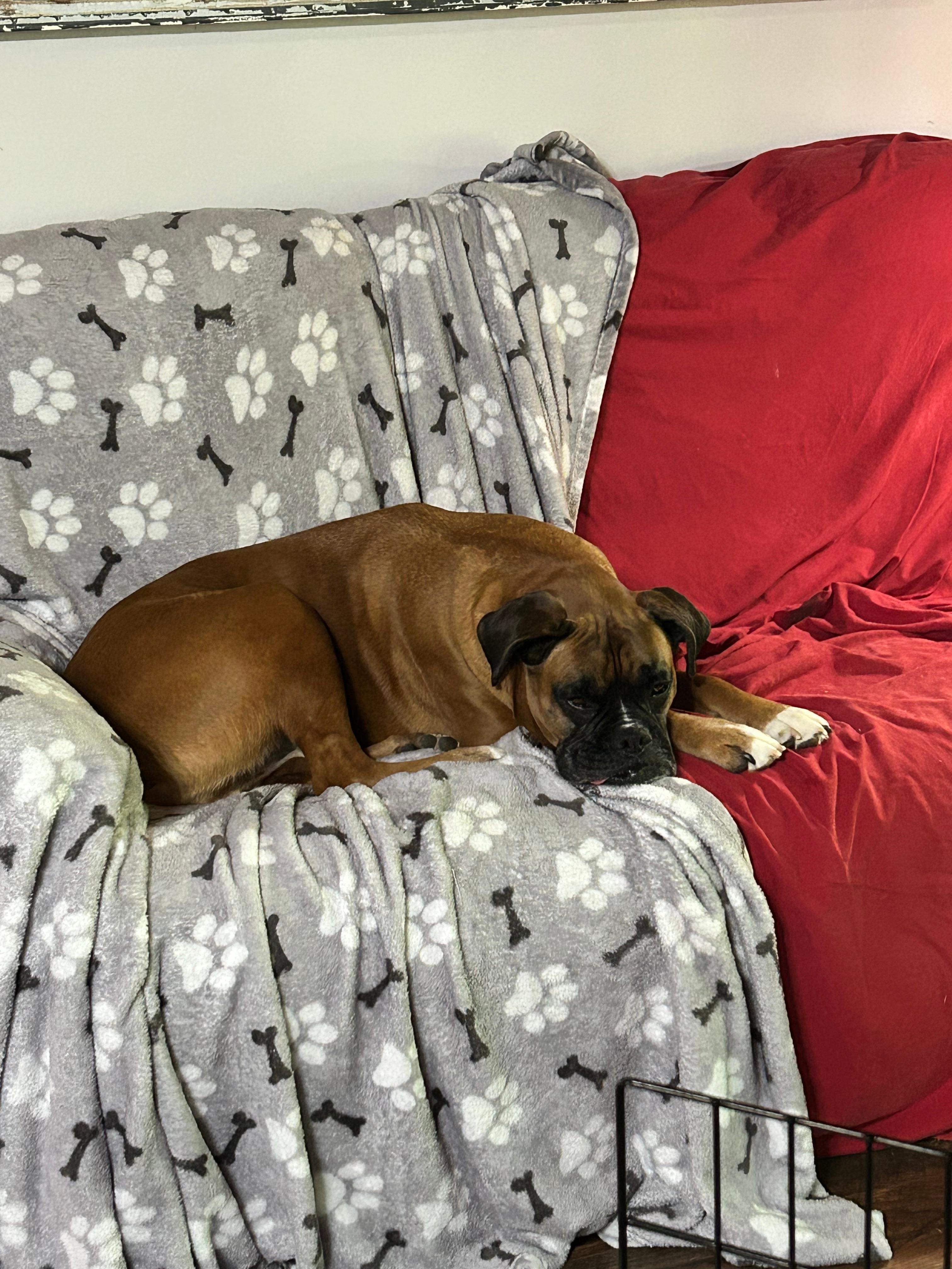 Kymani claimed his spot