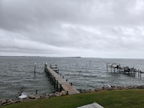 View from the picnic table in the yard