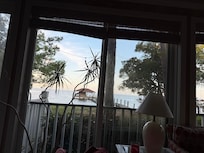 View from inside the house