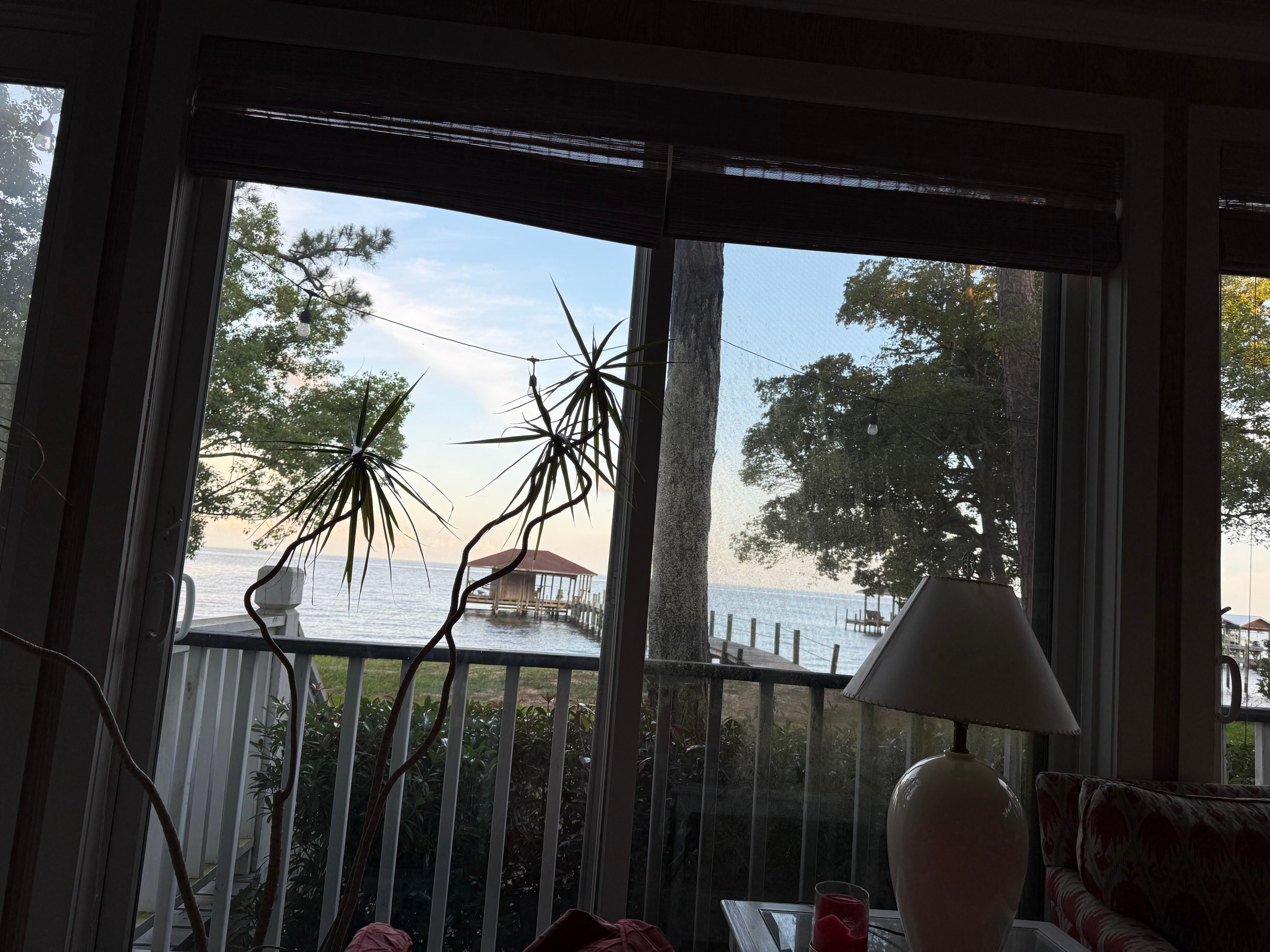 View from inside the house