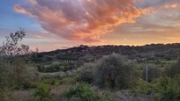 Sunset view