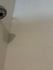 Mold on shower walls