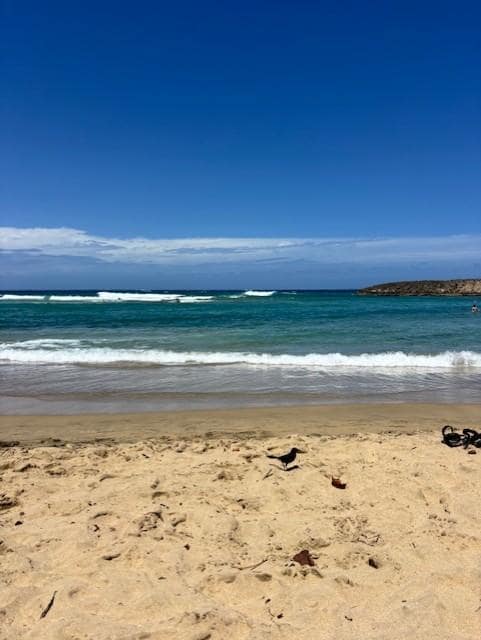Walked over to Jobos Beach just down the road. 