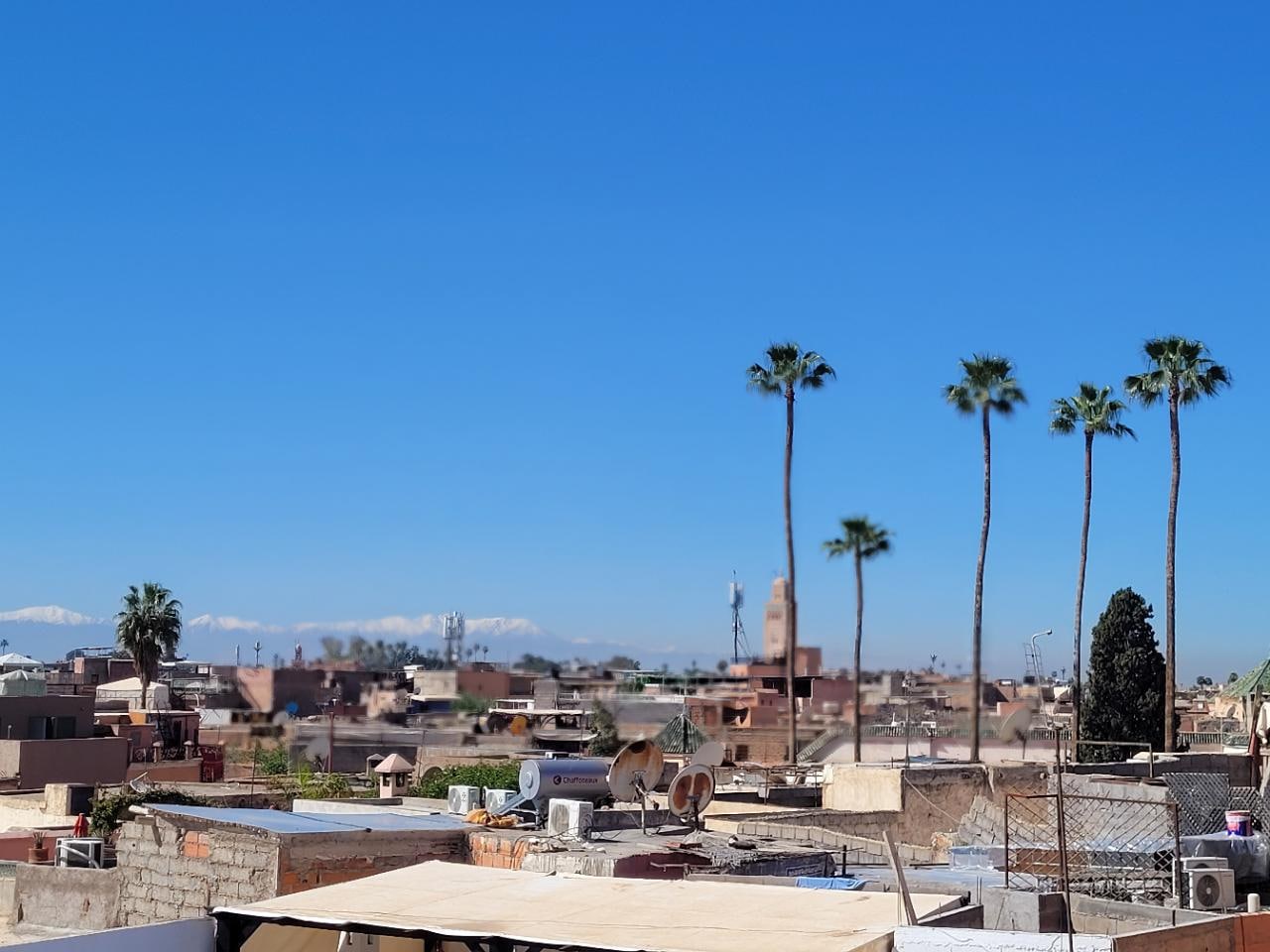 View from the rooftop terrace