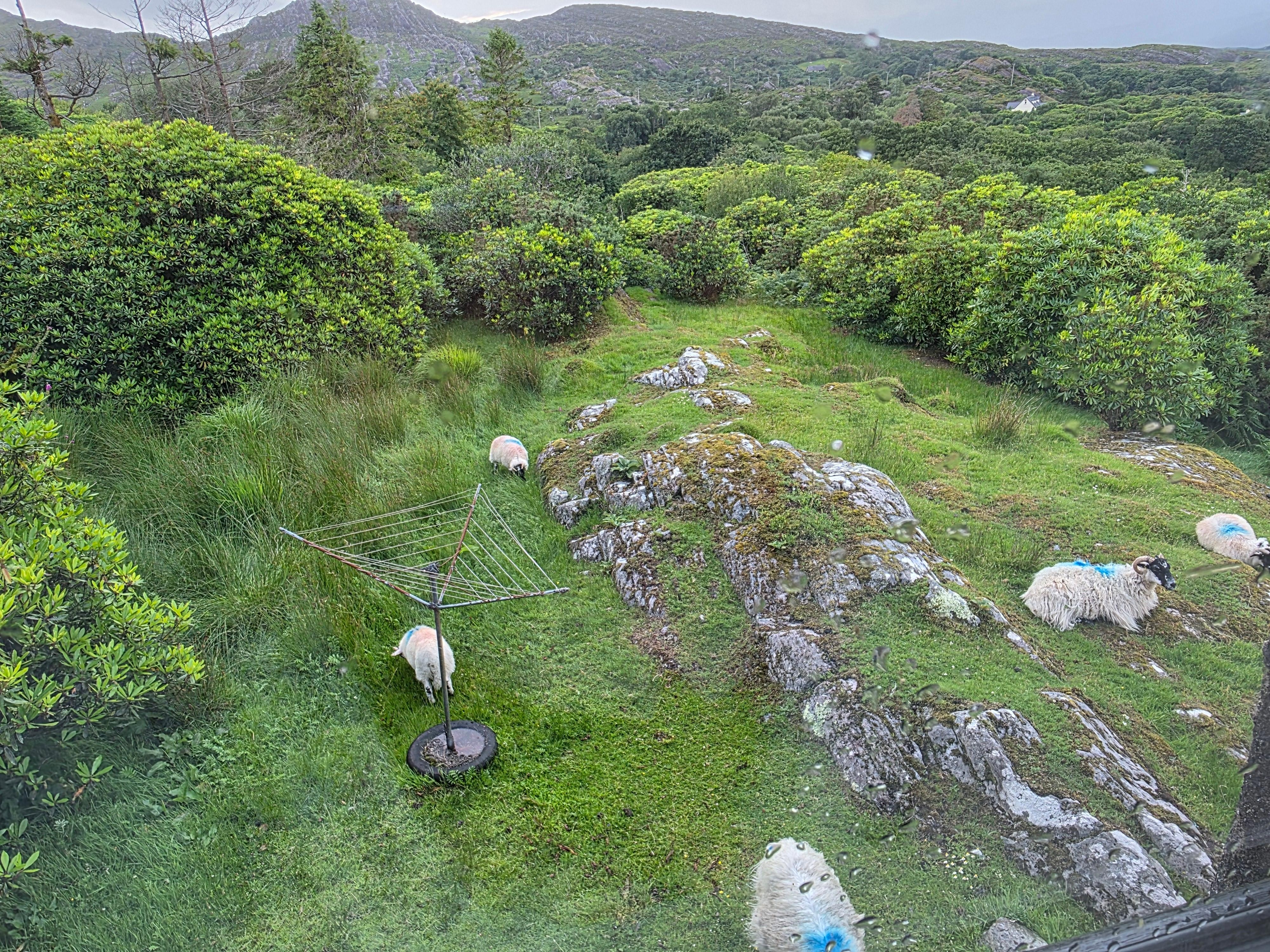 Blick aus dem Schlafzimmer