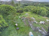 Blick aus dem Schlafzimmer