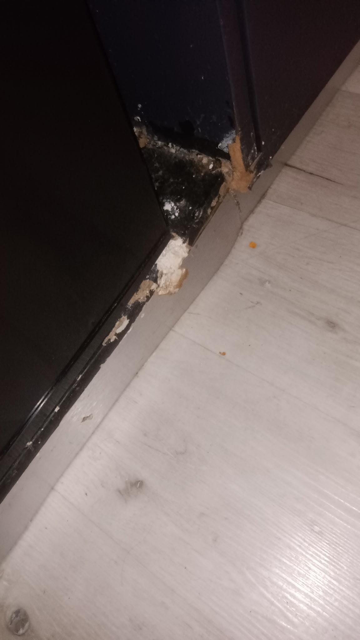 Never Imagine checking in from photos on sit to seeing this. Missing Photos of Fire alarm covered with plastic bag was unsafe 