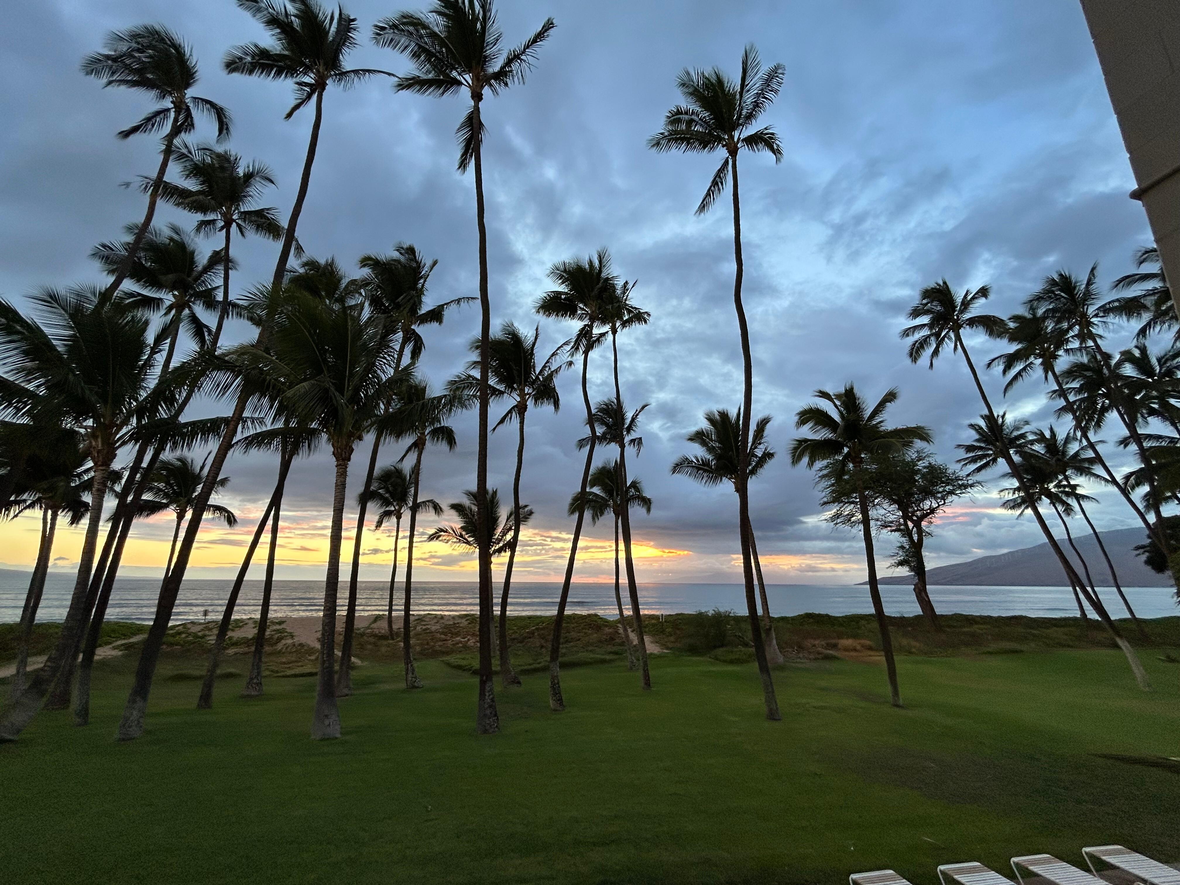 View of sunset from room.