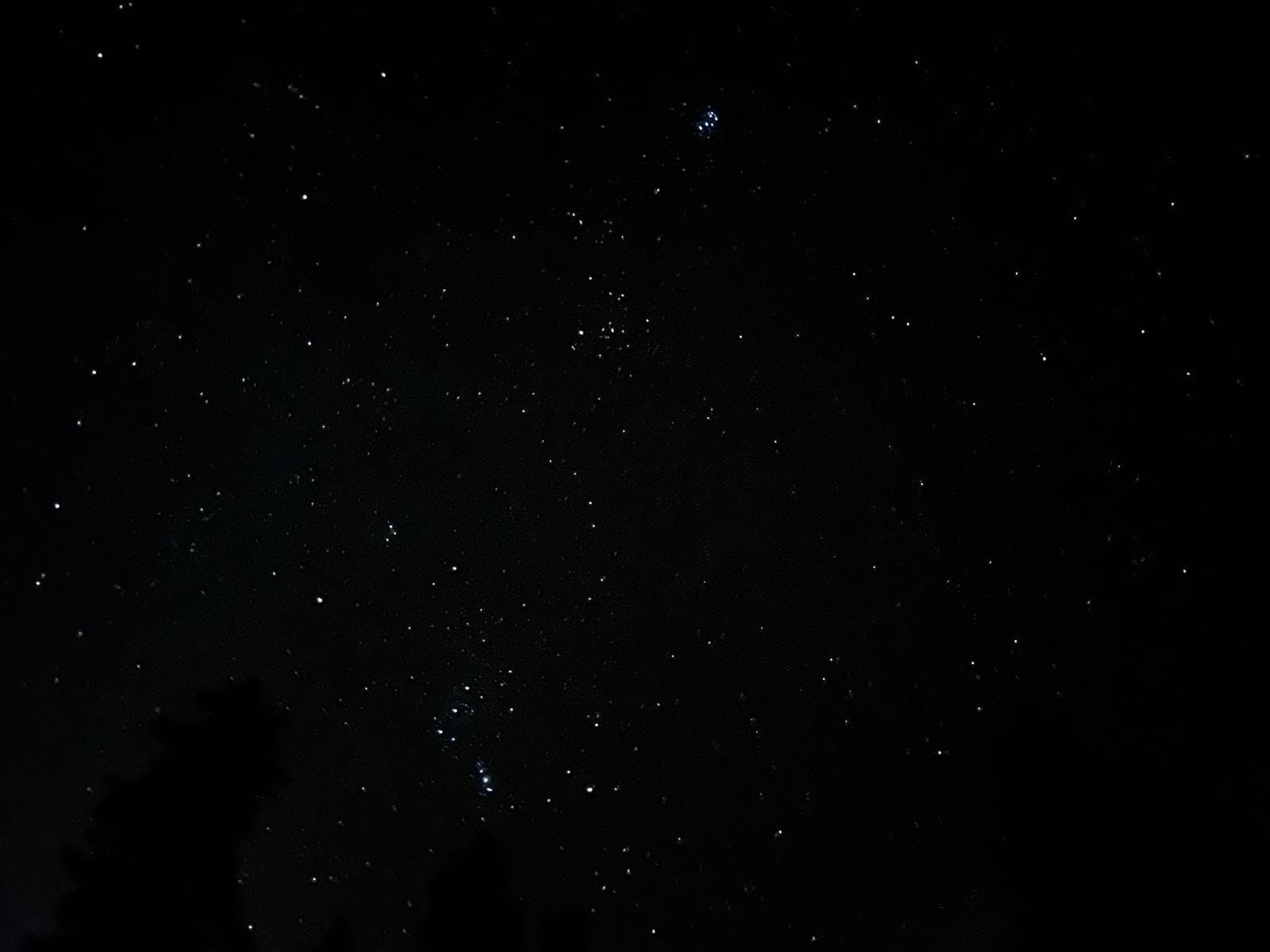 The stars were just glorious!