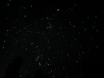 The stars were just glorious!