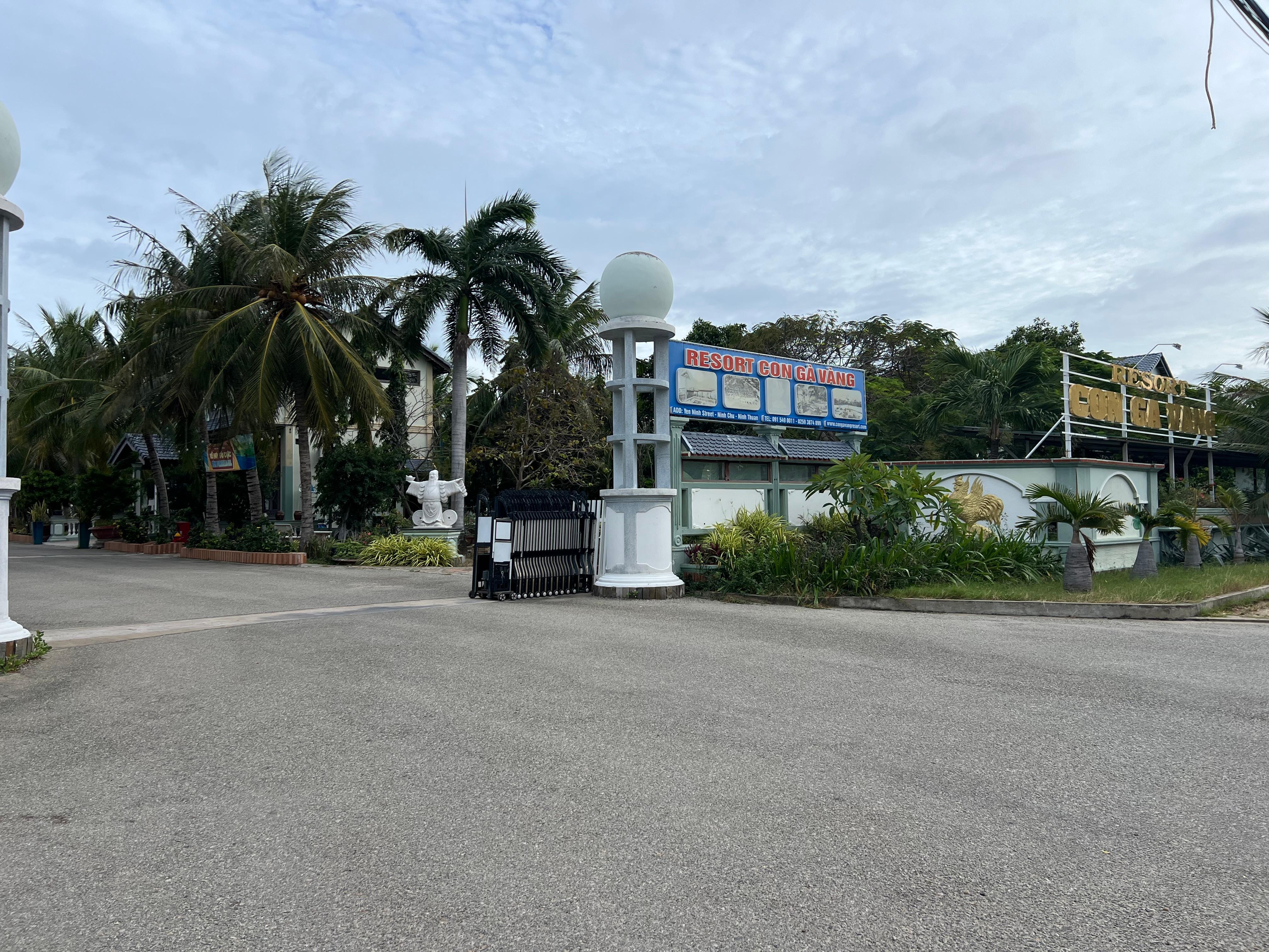 “Congavang” Golden Chicken