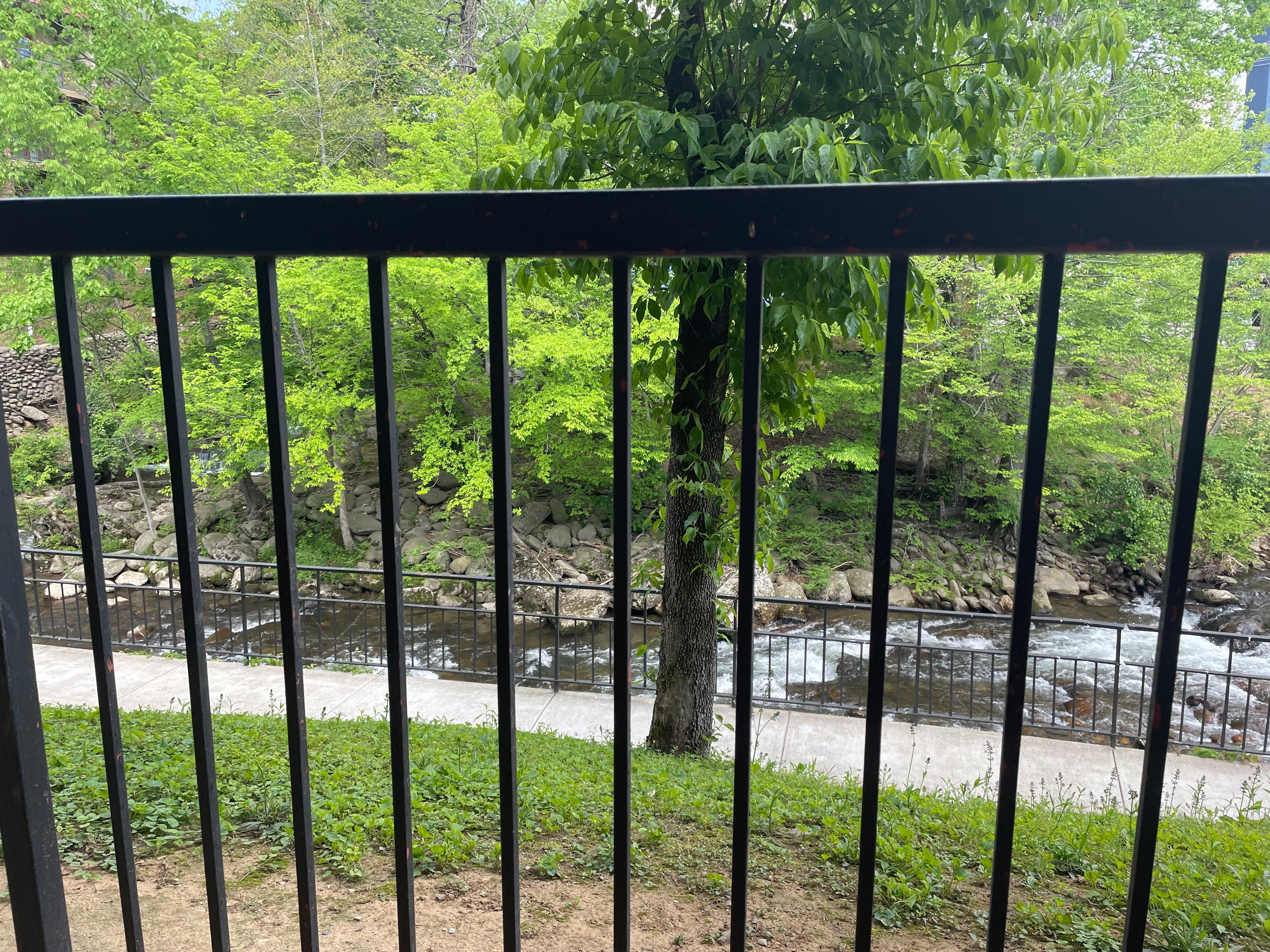 View from room 