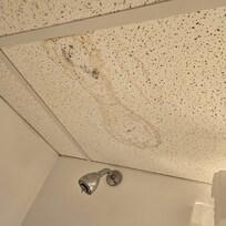 Obvious water damage