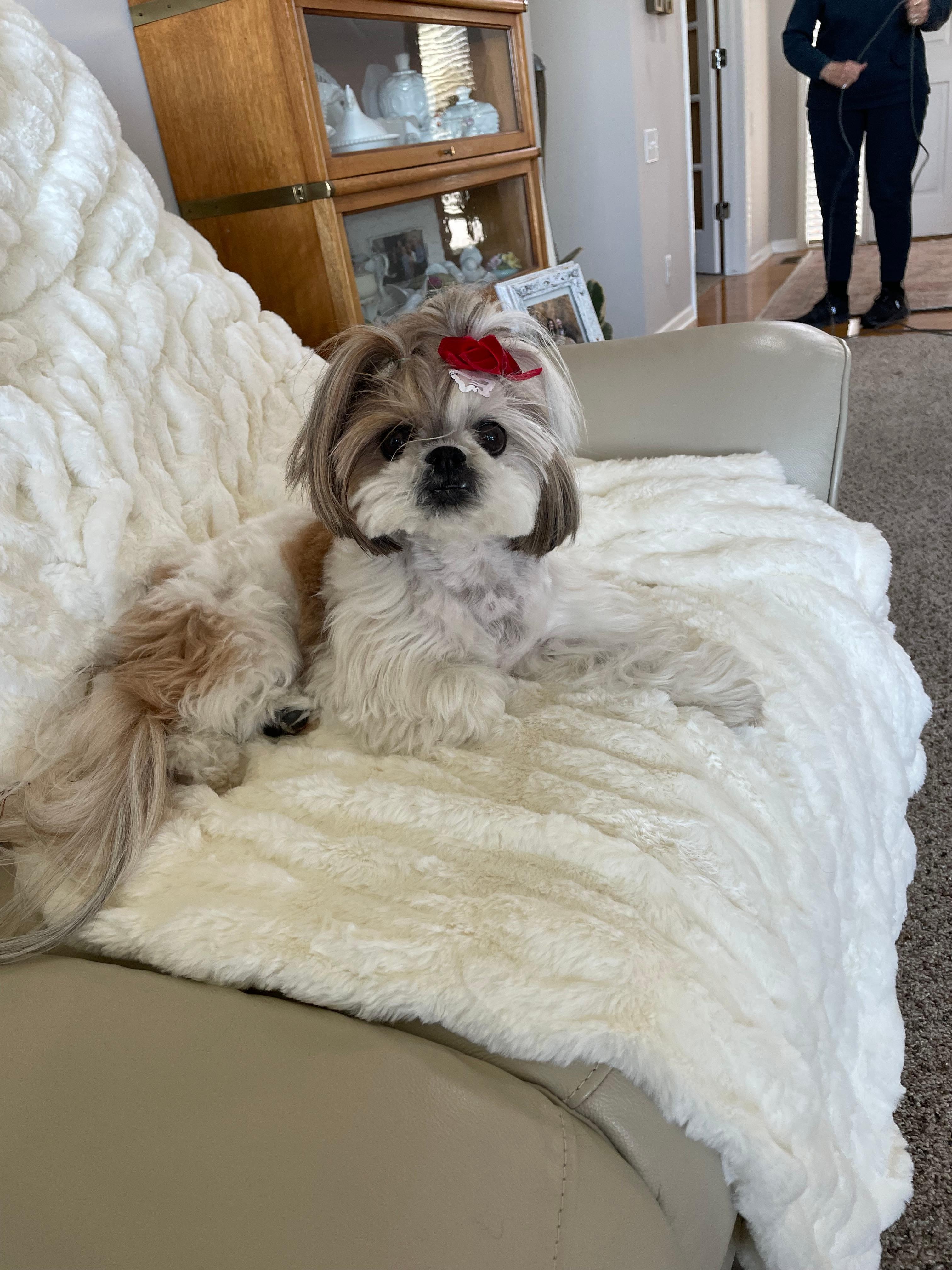 Our puppy was VERY happy!