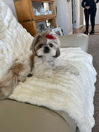 Our puppy was VERY happy!