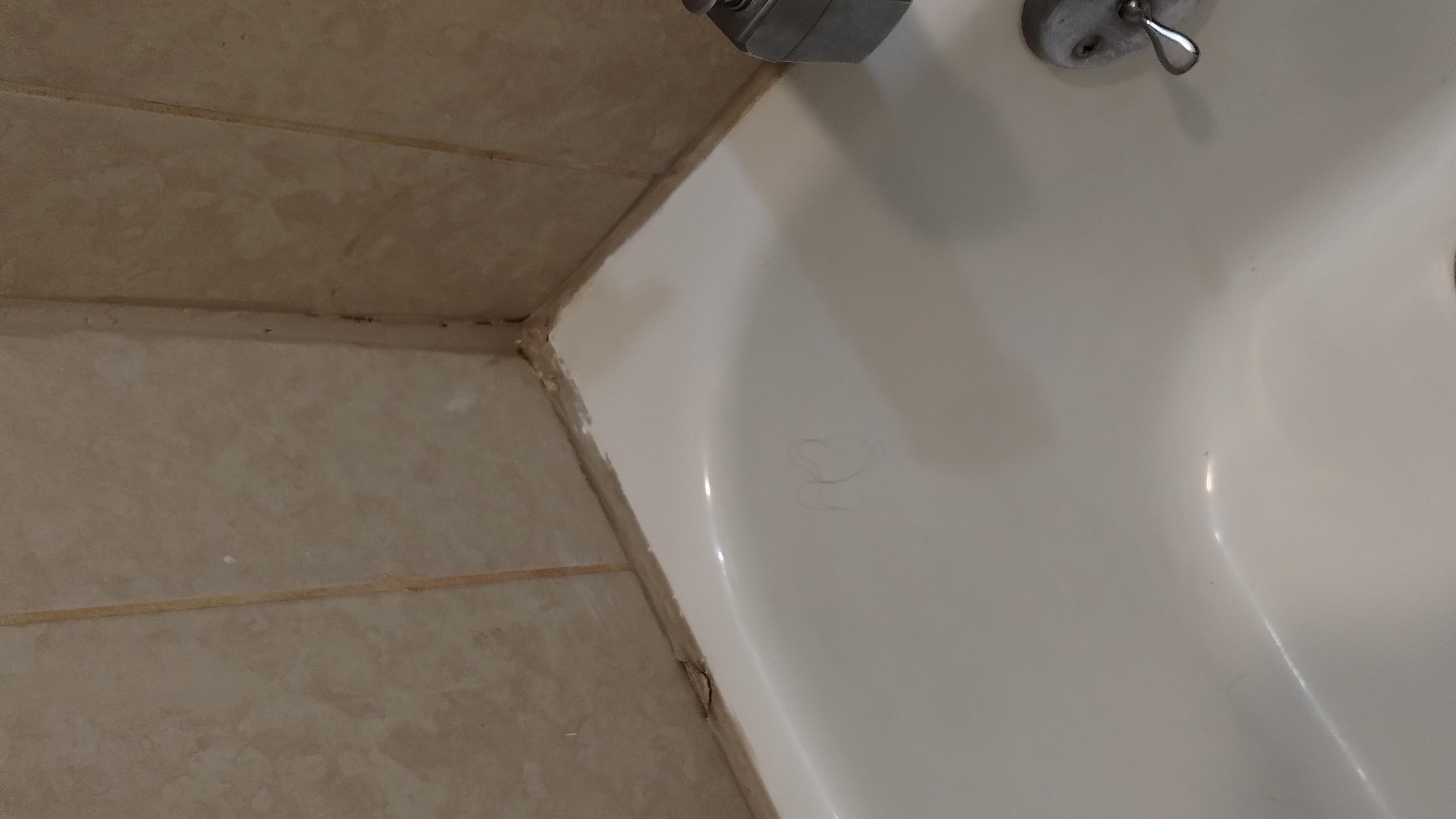 Below the toilet around the bathtub hair is left in the bathtub I'm already curtain all the caulking is coming off around the time in the shower the handle almost fell off