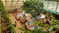 Lobby of the hotel