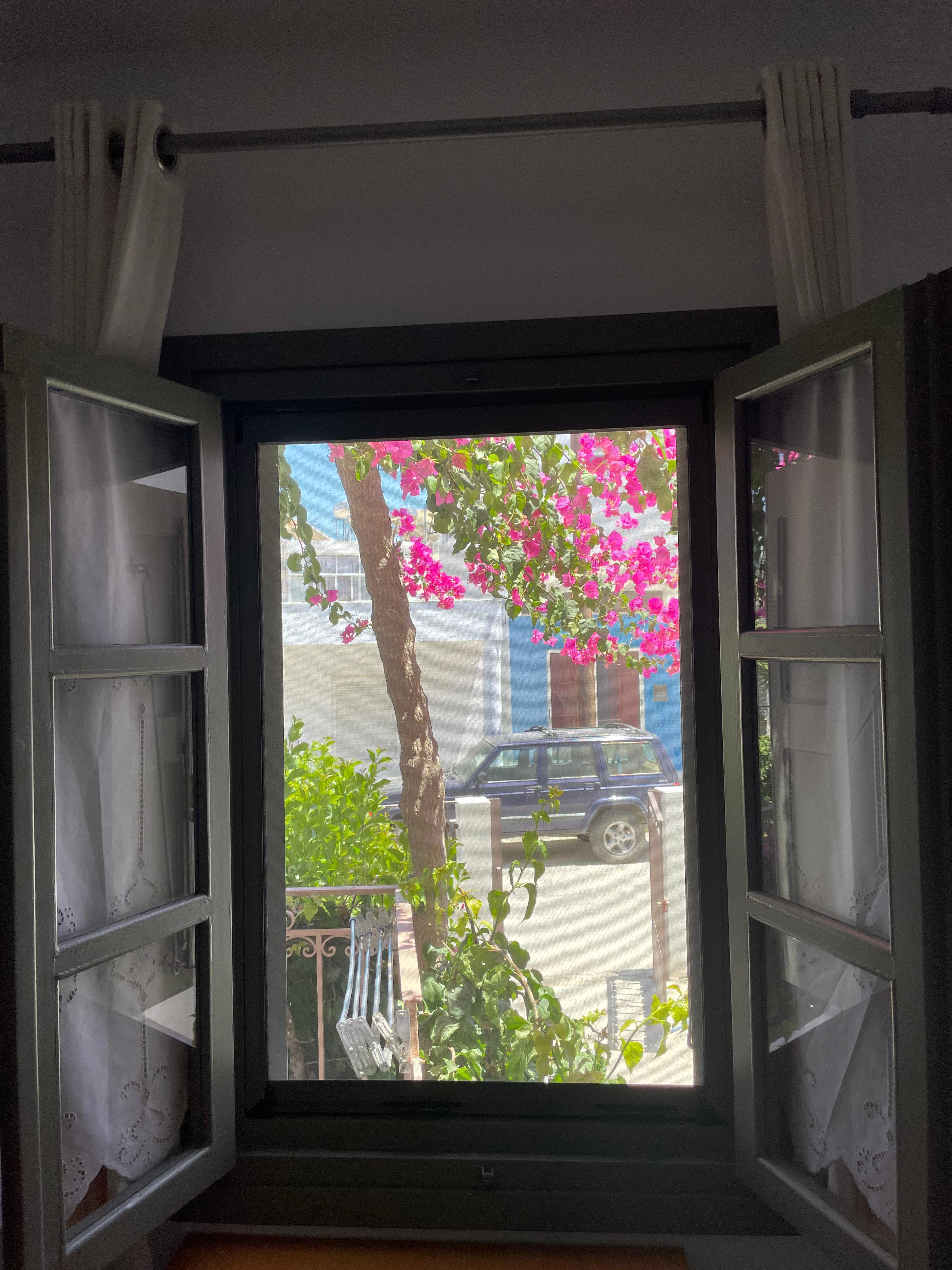 Shuttered window to patio. 