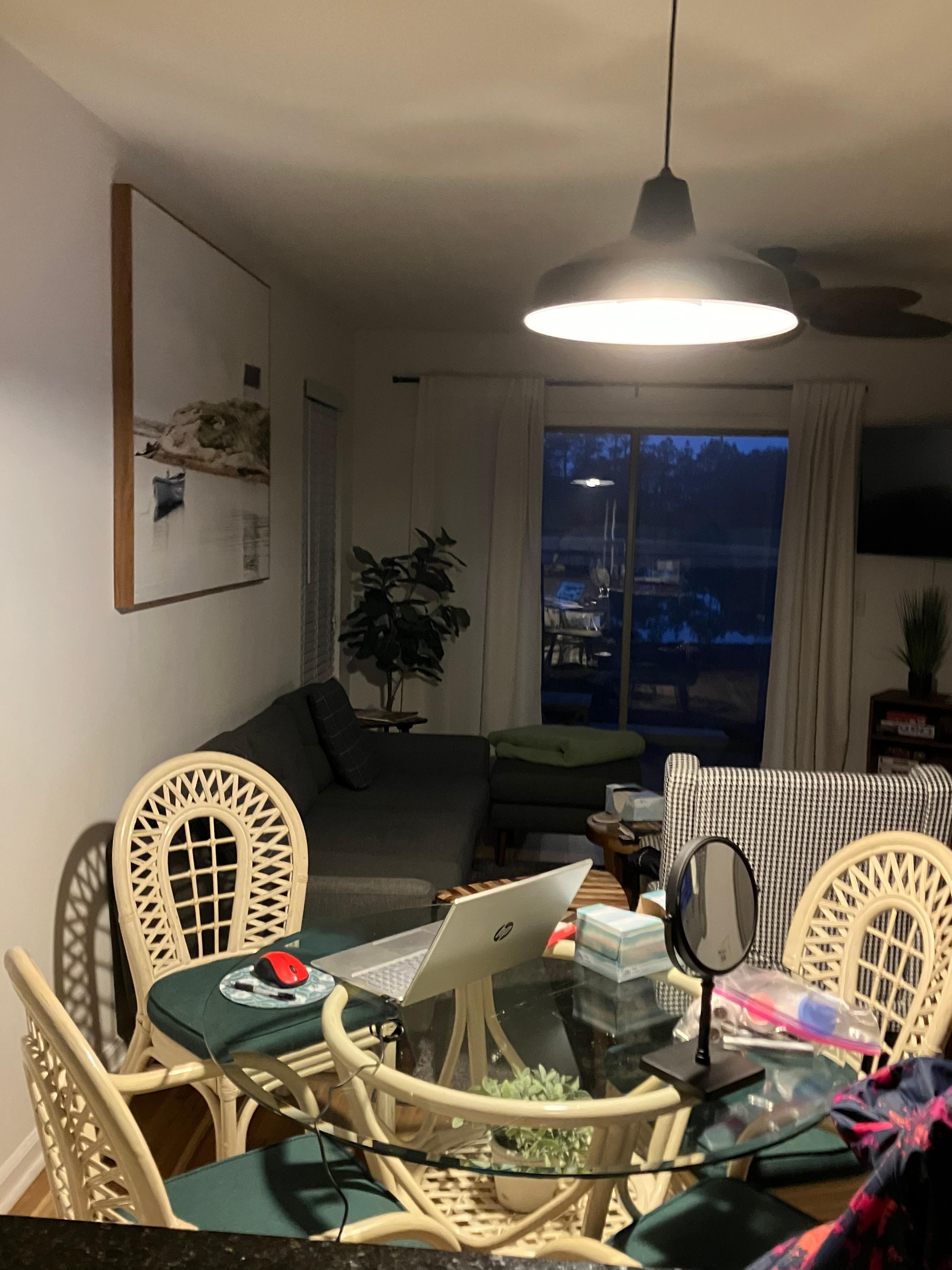 Looking out from the kitchen. 