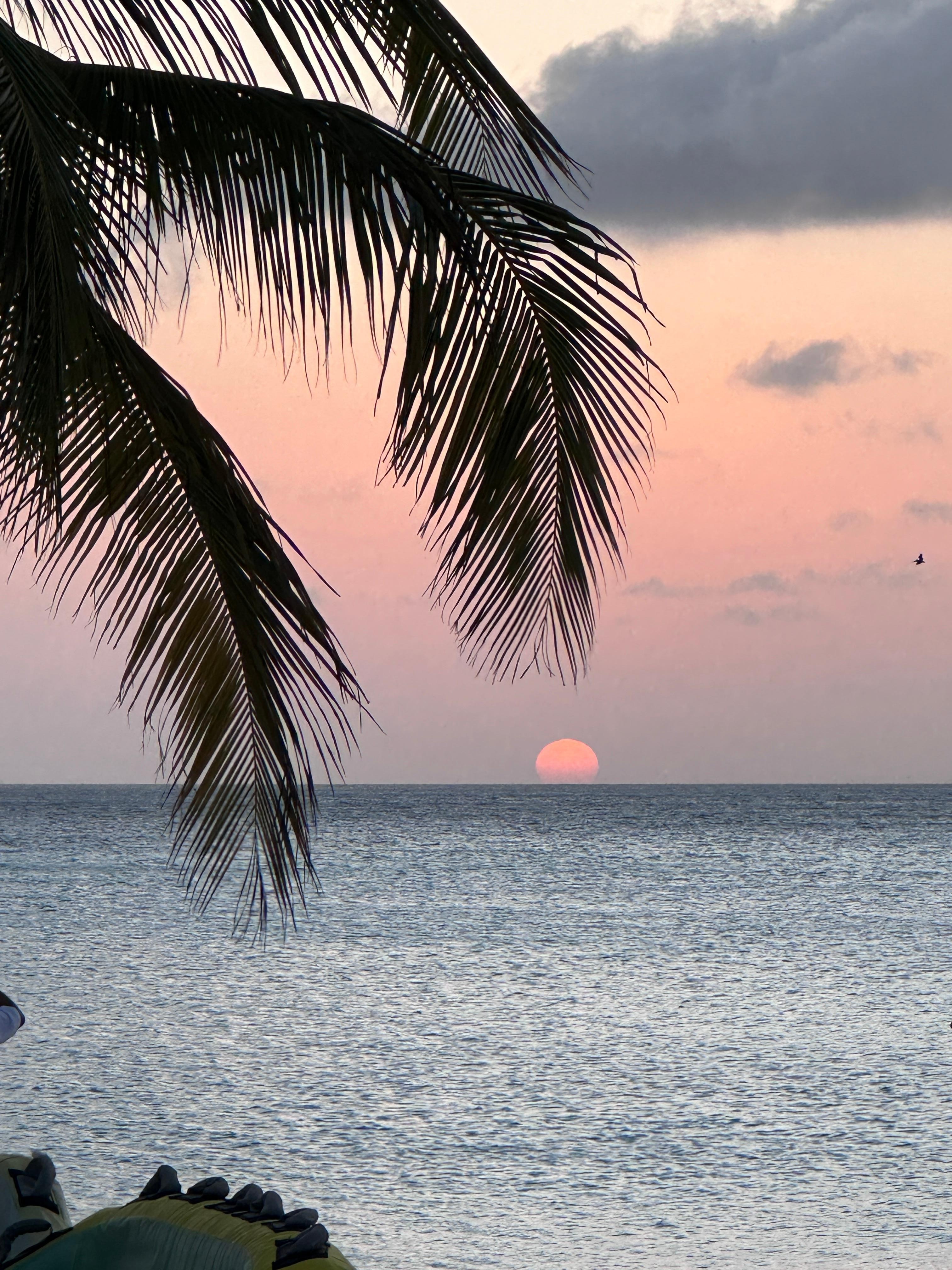 Palm Beach