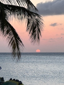 Palm Beach