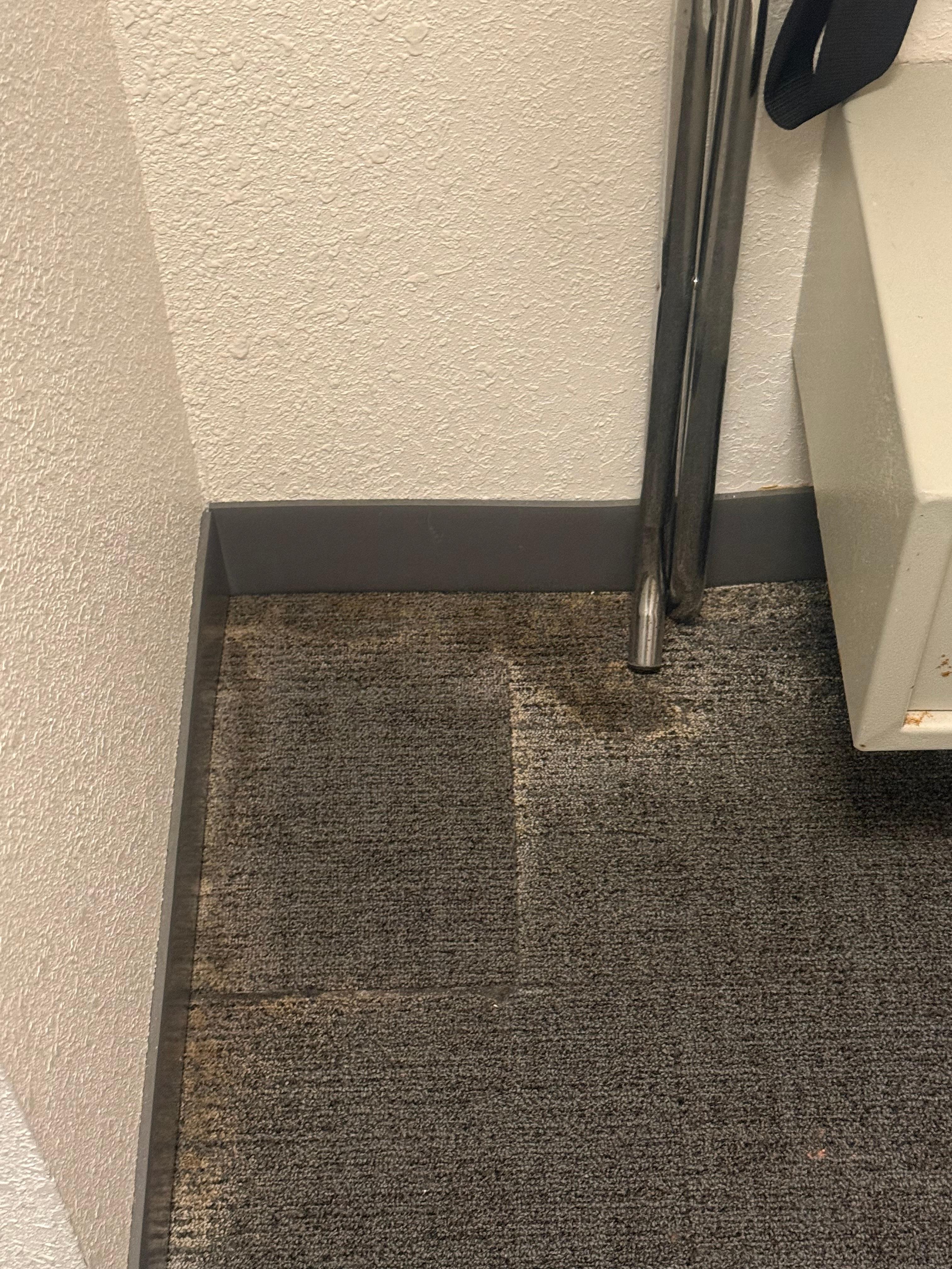 Floor was stained in multiple spots