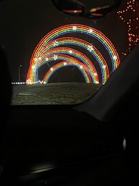 Lights from promise land zoo🎄