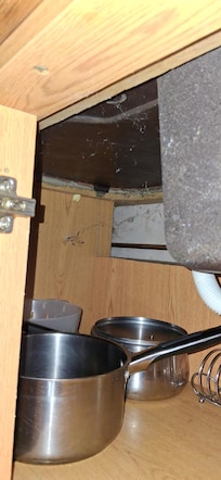 Kitchen area full of webs and insect remains
