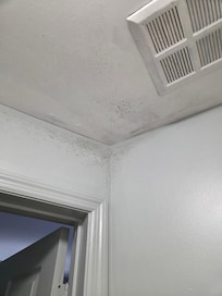 Mold all over bathroom ceiling.
