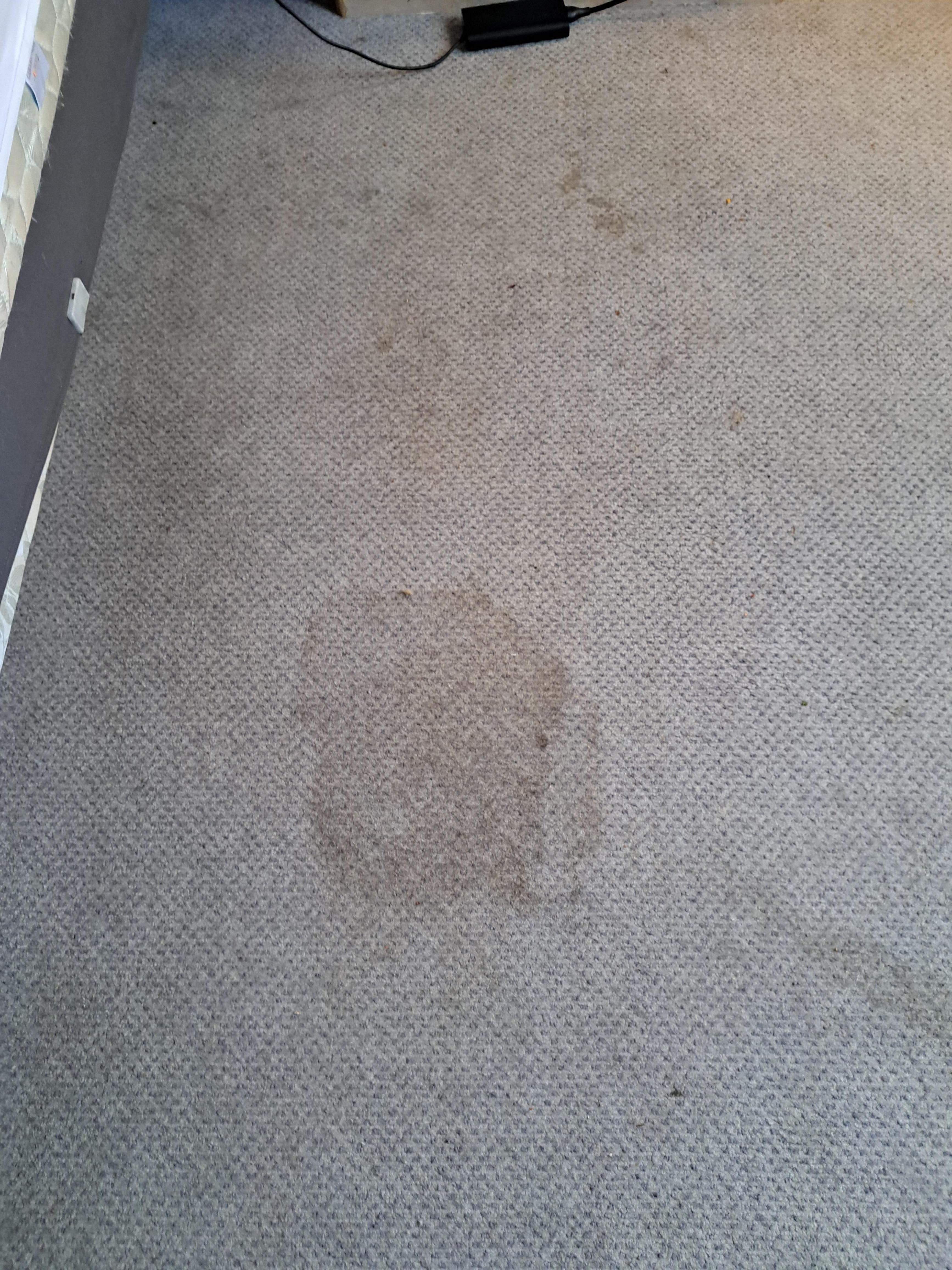 Dirty carpet