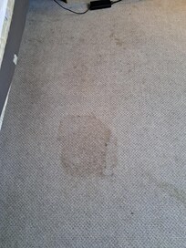 Dirty carpet