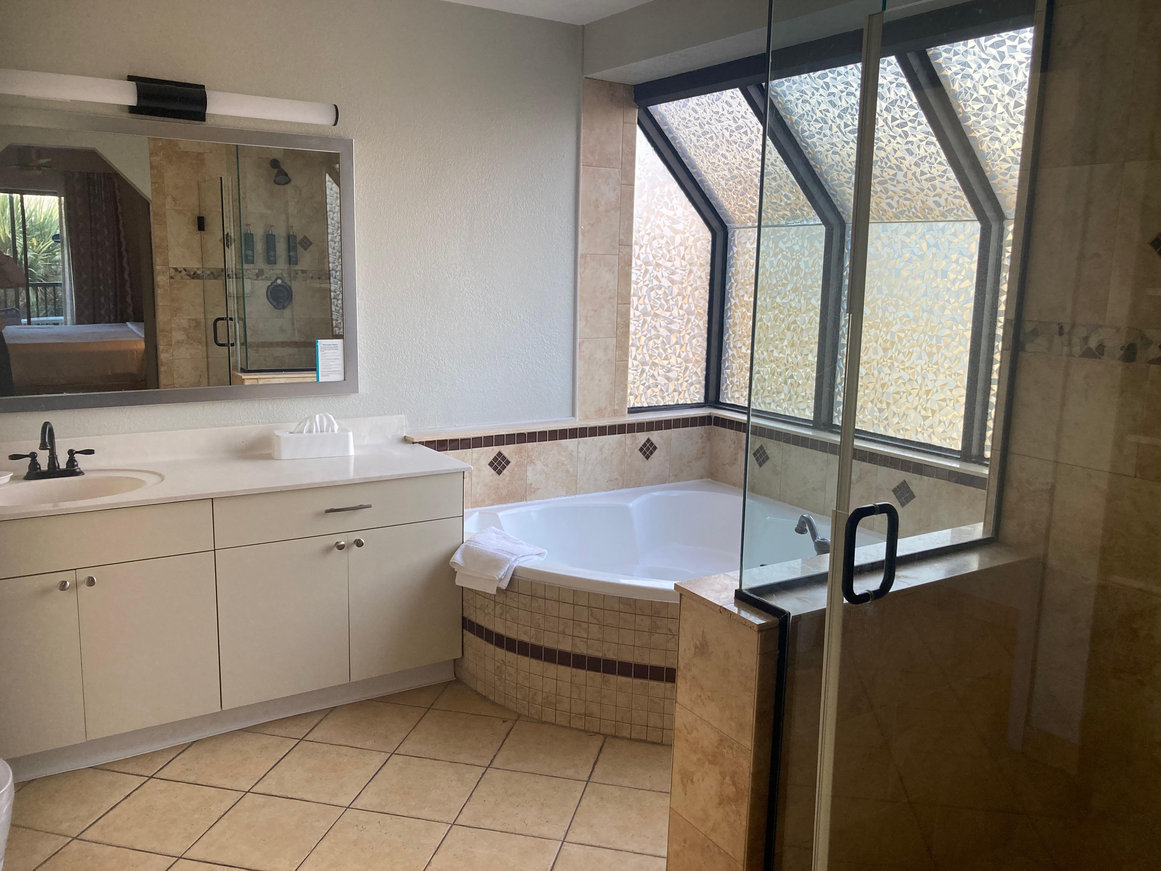 Master bath shower and tub