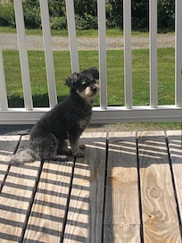 Loved patio