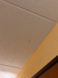 Splatters of who knows what on the ceilings, floors, and walls in every room.