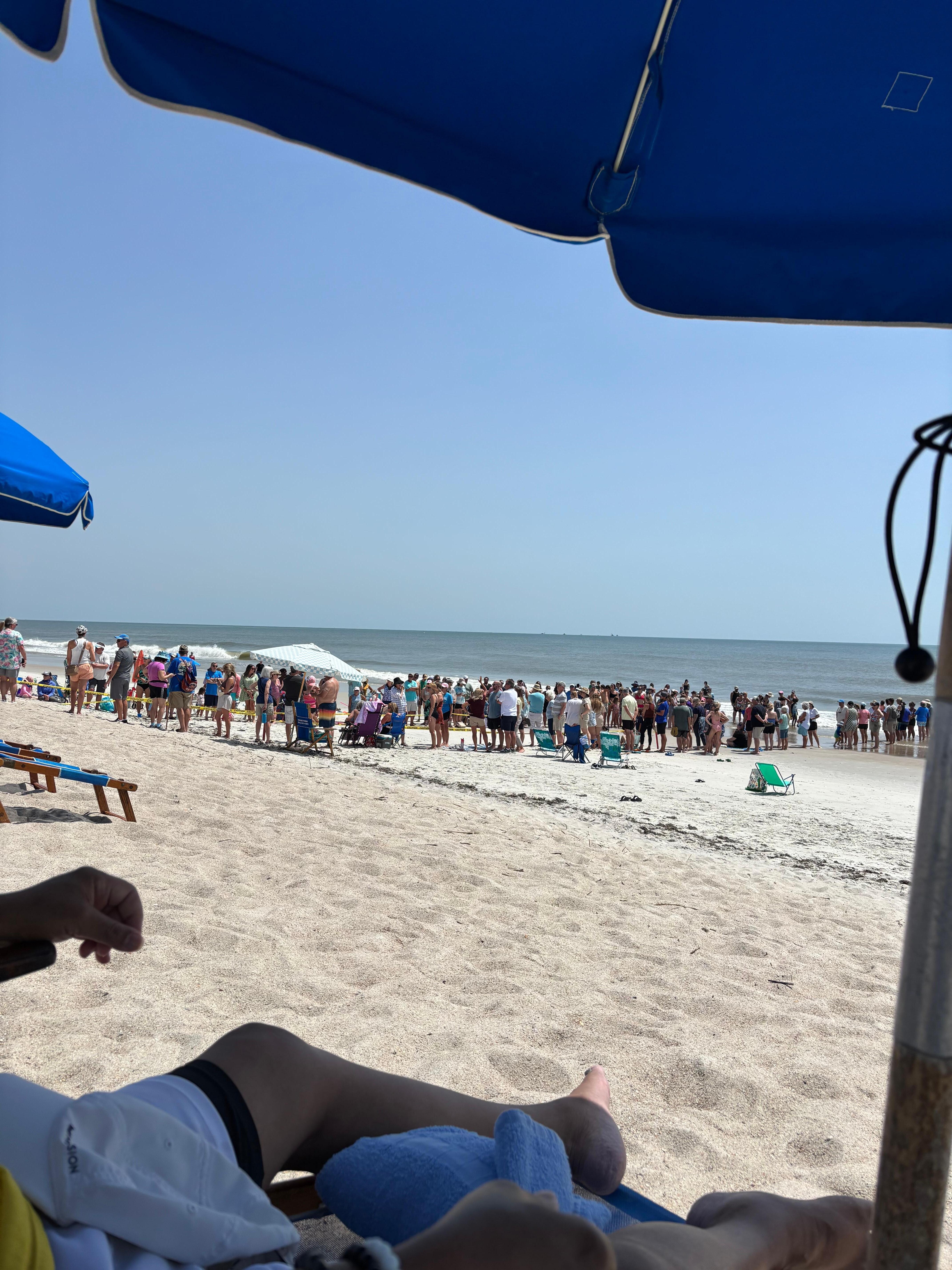 We were lucky to see a turtle released back to the ocean. 