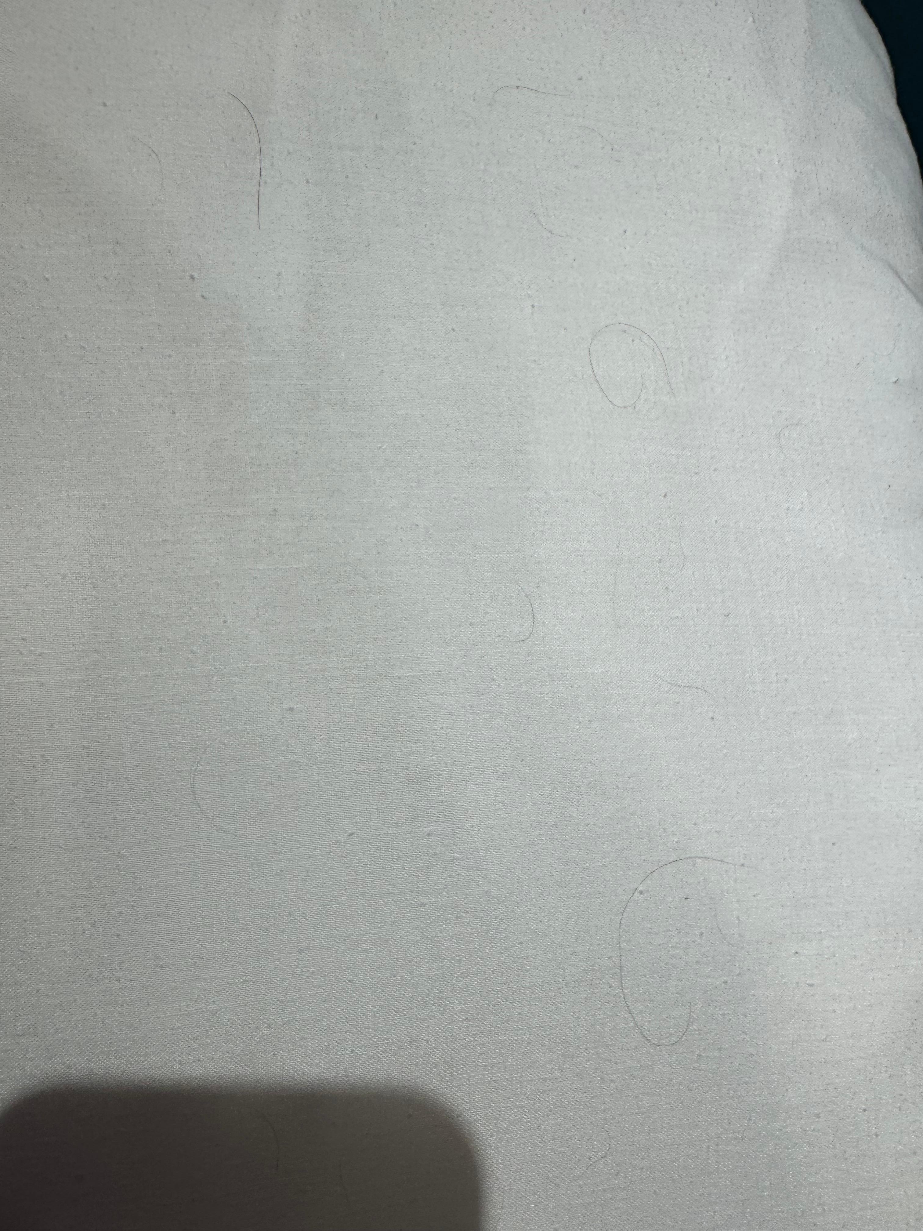 Hairs on pillows